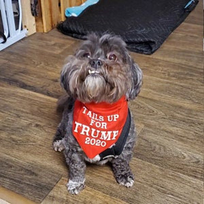 Tails up For Trump 2024 Dog Bandana Political Dog Bandana | Etsy