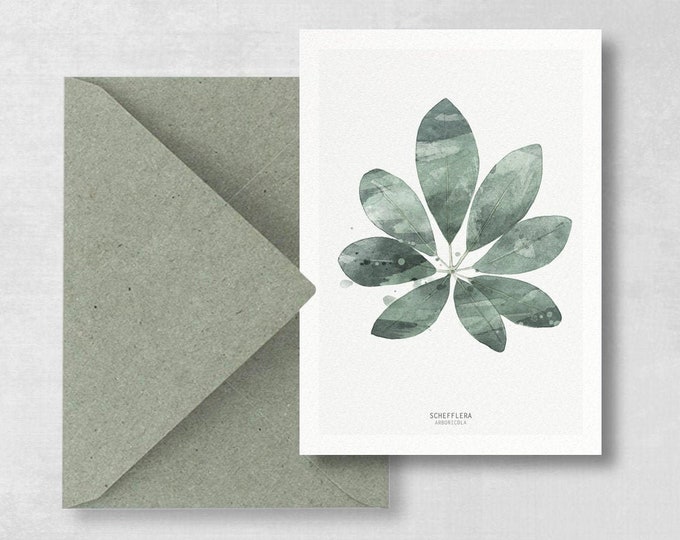 Postcard Schefflera sheet set of 2, botanical postcard