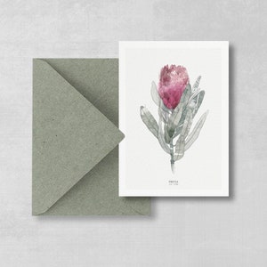 Postkarte Watercolor Protea 2-er Set, botanische Postkarte