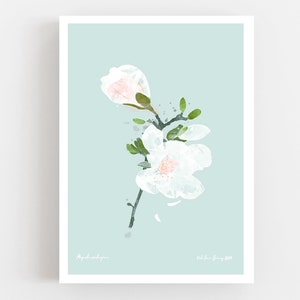 Magnolia Blossom Open Art Print, White Spring Flower Print