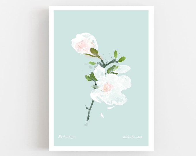 Magnolia Blossom Open Art Print, White Spring Flower Print