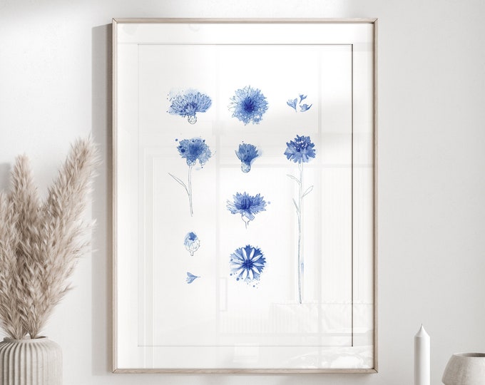 Watercolor cornflowers print, modern watercolor blue flowers print