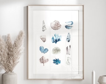 Watercolor seashells print, coastal print, beach house print, ocean sea print, blue wall art
