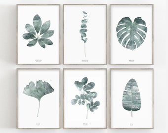 Set of 6 modern botanical fine art prints.