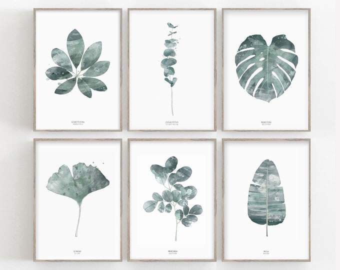 Set of 6 modern botanical fine art prints.