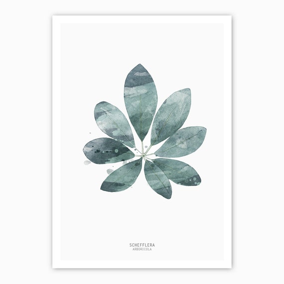 Watercolor Tropical Leaf Fine Art Print, Botanical Print, Green Leaf Print, watercolor plant art print, plant print, schefflera arboricola
