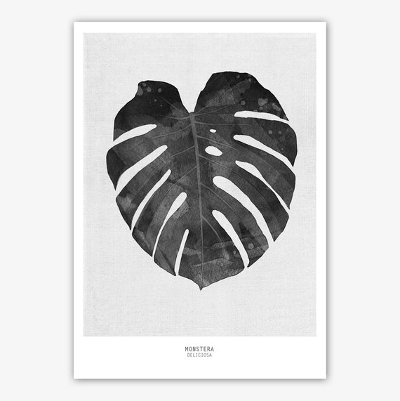 Black watercolor monstera leaf print, minimalist botanical print, tropical leaf wall art, black and white botanical print