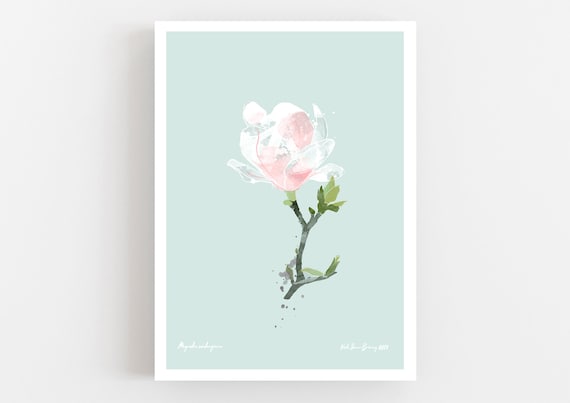 Magnolia Blossom Closed Art Print, White Spring Flower Print