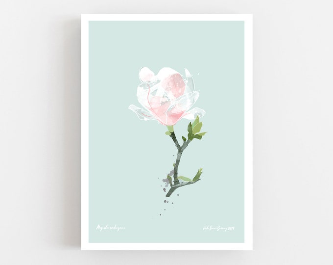 Magnolia Blossom Closed Art Print, White Spring Flower Print