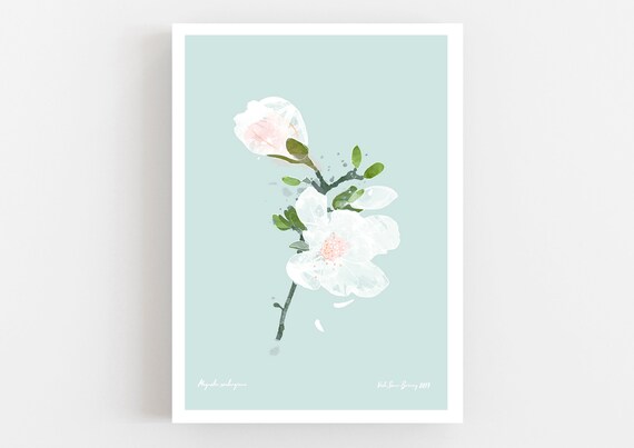 Magnolia Blossom Open Art Print, White Spring Flower Print