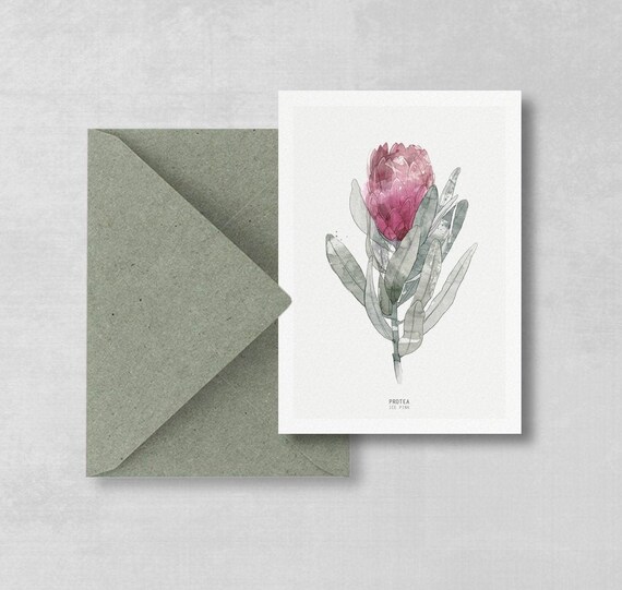 Postcard Watercolor Protea Set of 2, botanical postcard