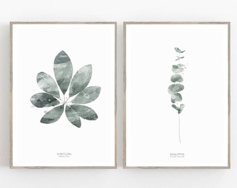 Set of 2 Prints, Watercolor Leaf, Botanic eucalyptus art