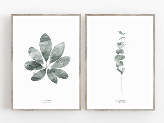 Set of 2 Prints, Watercolor Leaf, Botanic eucalyptus art