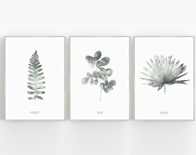 Set of 3 botanical prints, scandinavian wall art, modern green leaves prints