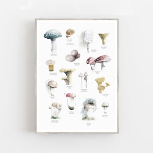 Impresión de carteles de setas de acuarela, impresión de arte botánico, cartel del bosque