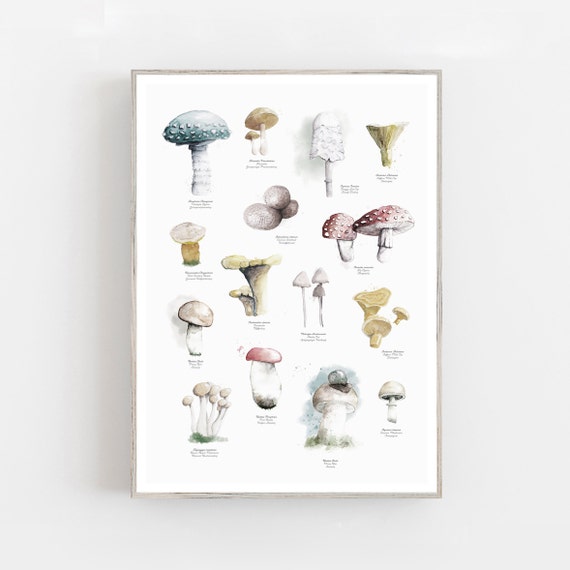 Watercolor Mushrooms Poster Print, Botanical Art Print, Forest Poster