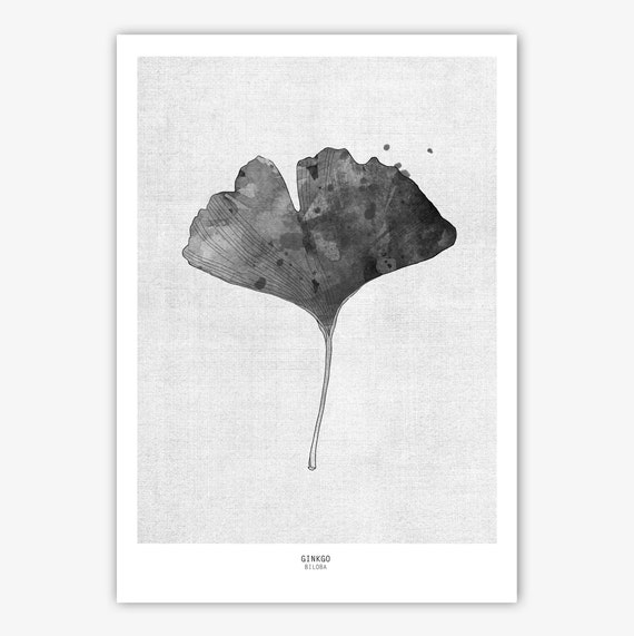 Black Ginkgo leaf fine art print, modern leaf print, office wall art, bedroom wall decor