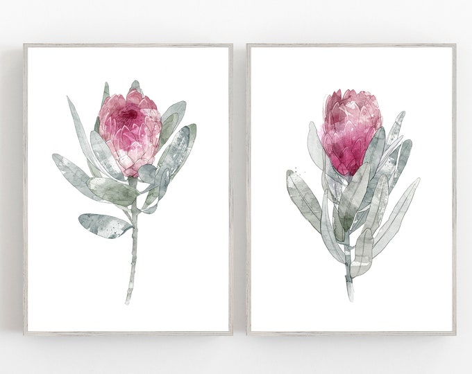 Set of 2 protea flower prints, botanical prints, watercolor pink flower print