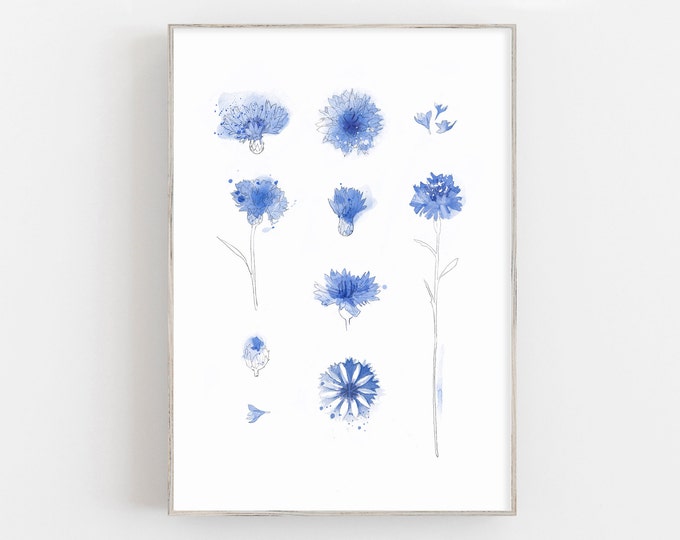 Watercolor cornflowers print, modern watercolor blue flowers print