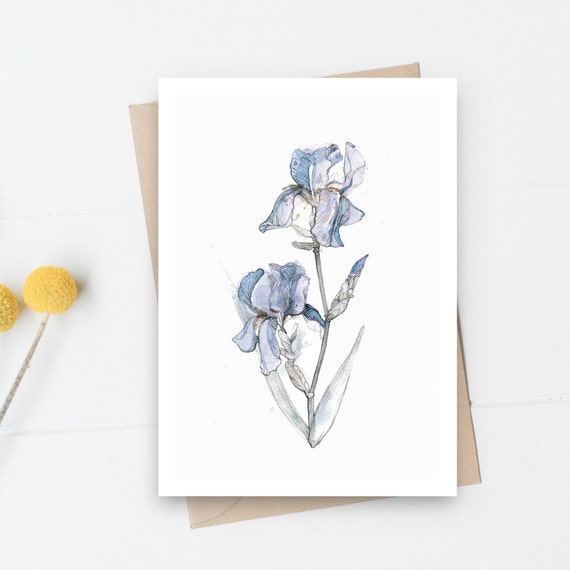 Iris Flower Postcard Set of 2, Spring Postcard, Mother's Day Postcard