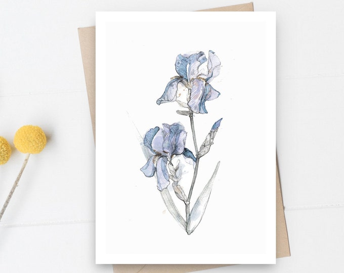 Iris Flower Postcard Set of 2, Spring Postcard, Mother's Day Postcard