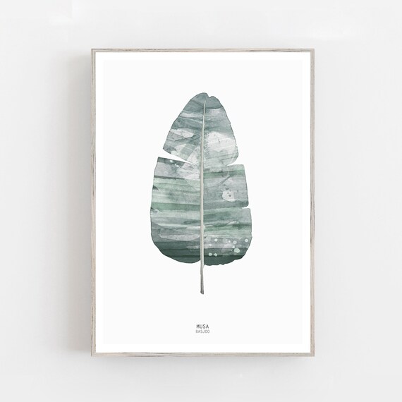 Watercolor Leaf print, Musa basjoo, botanical print, plant print, modern watercolor, minimalist print, leaf wall art