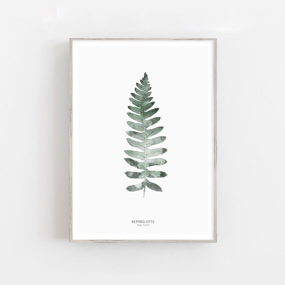 Watercolor fern leaf fine art print, green leaf wall art
