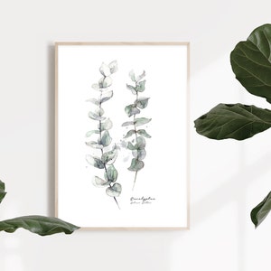 Watercolor Eucalyptus Fine Art Print, Green Leaves Wall Art