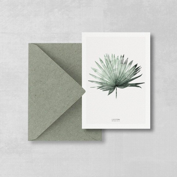 Botanical Postcard Palm Sheet Set of 2