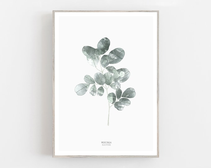 Moringa Leaf Print, Modern watercolor botanic leaf print, scandinavian art, urban jungle print.