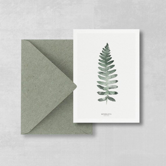 Postcard Farn Set of 2, Botanical Postcard