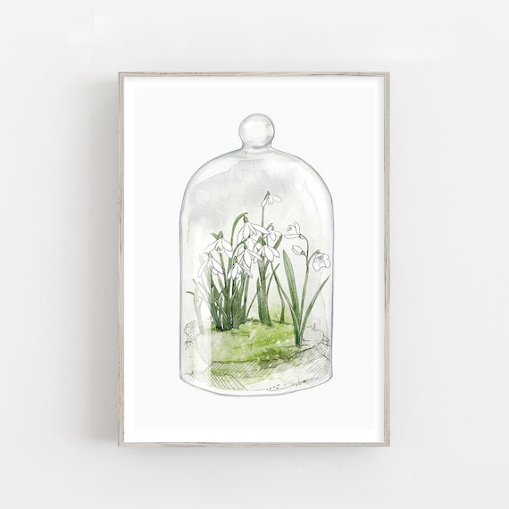Modern watercolor Snowdrops terrarium fine art print, spring print, white flowers print.