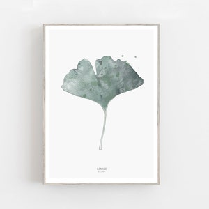 Watercolor ginkgo leaf art print, botanical wall art, green wall art, nature lover gift