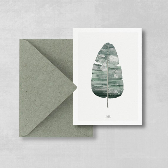 Postcard Musa Basjoo Sheet Set of 2, Botanical Postcard