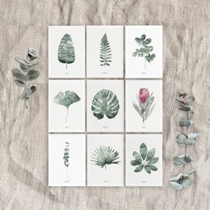 Set of 9 postcards, botanical postcards, green leaves postcards, nature postcards
