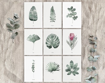 Set of 9 postcards, botanical postcards, green leaves postcards, nature postcards