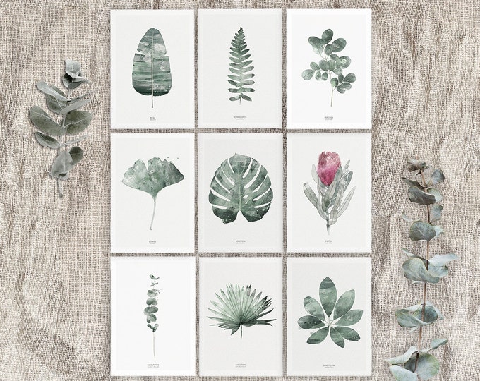 Set of 9 postcards, botanical postcards, green leaves postcards, nature postcards