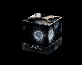 Sun Crystal Sculpture: Scientifically accurate Solar Corona Model