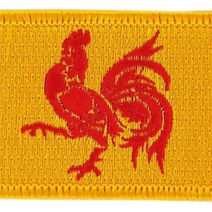 FLAGGA lapp ryggsäck nationell stryk-på lim broderad applikation Belgien Vallonien Vallonien