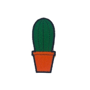 Puede incluir: Un cactus verde en una maceta de terracota. El cactus es alto y delgado con una parte superior redondeada.