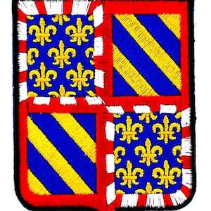 Może przedstawiać: Haftowana naszywka z heraldycznym wzorem. Naszywka ma czerwoną obwódkę i czarny kontur. Wzór podzielony jest na cztery sekcje z niebieskimi i żółtymi wzorami, w tym symbole fleur-de-lis.