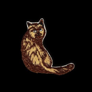 Op de afbeelding: Illustratie van een bruine en beige kat op een zwarte achtergrond. De kat kijkt over zijn schouder met een nieuwsgierige uitdrukking. De vacht van de kat is gedetailleerd met een getextureerde uitstraling.