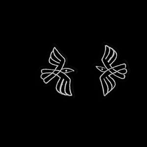 Può includere: Due illustrazioni stilizzate di uccelli bianchi su sfondo nero. Gli uccelli sono raffigurati in volo, con dettagliati disegni di ali e occhi. L'opera d'arte ha uno stile grafico minimalista, adatto a varie applicazioni.