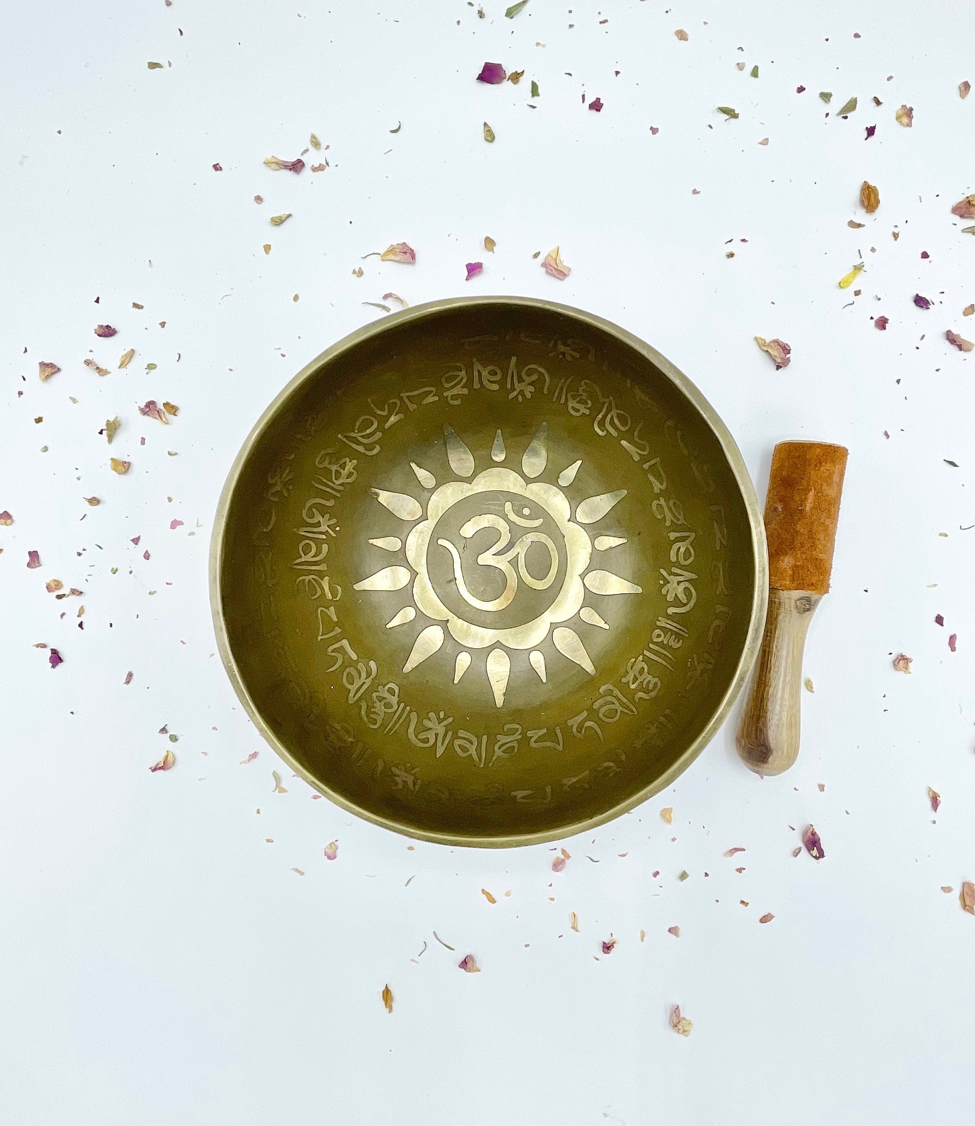 Bol Chantant Tibétain en Bronze Om