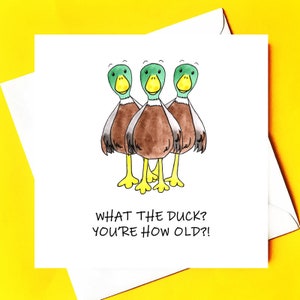 ¡Qué pato!