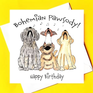 ¡Boho Pawsody! * tarjeta de cumpleaños de perro *