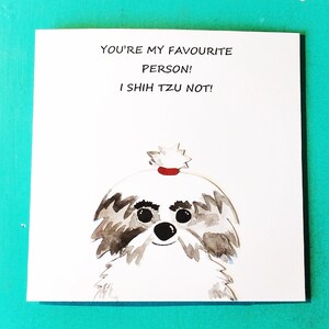 Shih Tzu Pas