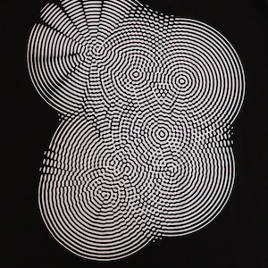 May include: A black and white abstract design with concentric circles and wavy lines.