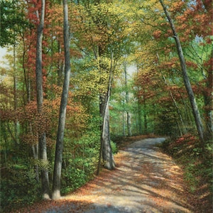 Może przedstawiać: Windingowa ścieżka gruntowa przez las z drzewami w różnych odcieniach zieleni, żółci i czerwieni. Ścieżka jest wyłożona wysokimi drzewami, a słońce świeci przez liście.