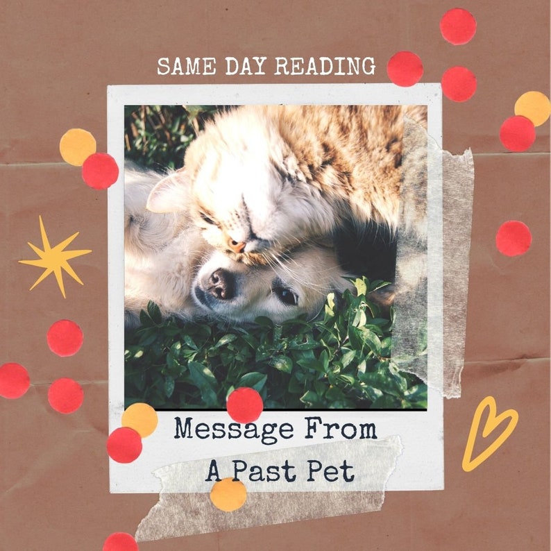 Past Pet Psychic, Message From Lost Pet, Message From Beyond, Same Day Psychic, Quick Reply Tarot Reader image 1